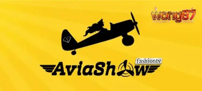Tampilan visual pesawat dalam permainan Aviashow